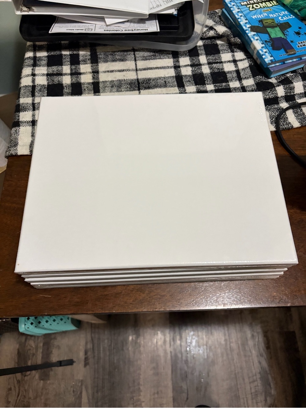 5 Blank Canvases